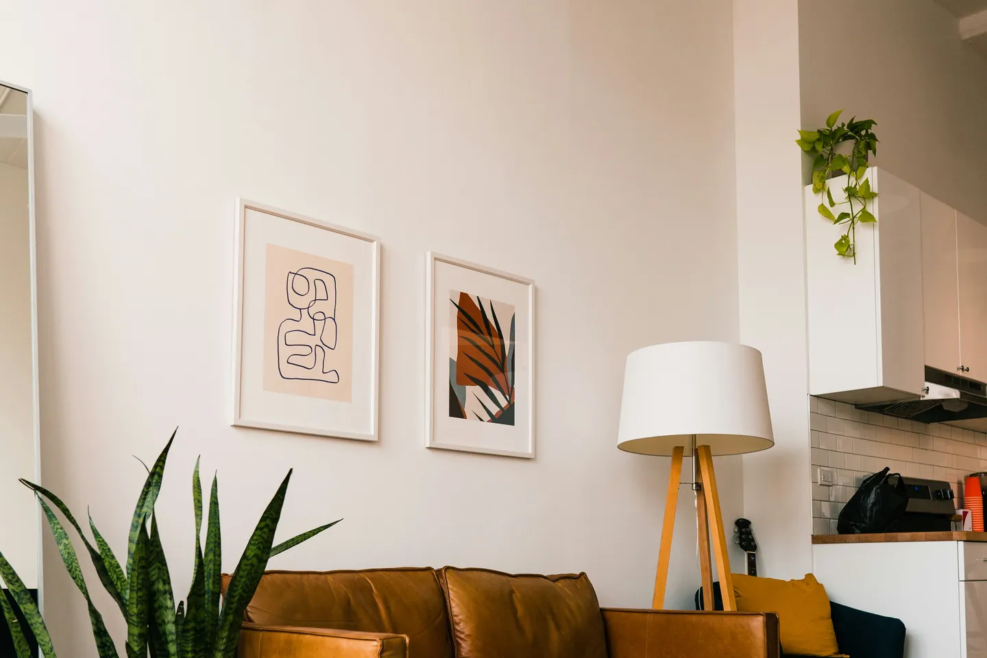 Salón de estilo contemporáneo con sofá de cuero y plantas